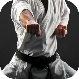 Learn karate at home