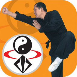 Kung Fu Training