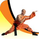 Learn Kung Fu Forms and Techniques