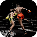 یادگیری ورزش رزمی MMA در منزل