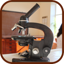 Sixth Experimental Science