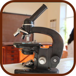 Sixth Experimental Science