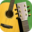 Classical guitar for beginners