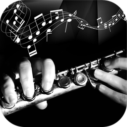 Learn recorder popular musics