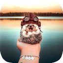 Scientific knowledge of animals