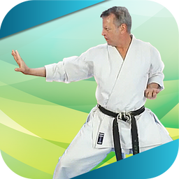Shotokan karate kata training