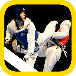 Taekwondo training (preliminary)