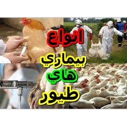 انواع بیماری های طیور