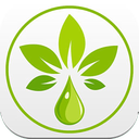 تولید اسانس گیاهی