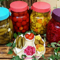 ترشی ساز معروف شو