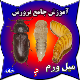 آموزش پرورش میل ورم در خانه میلورم