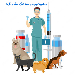 واکسینه کردن سگ و گربه