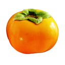 Persimmon