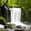 Relax Forest: sleep sounds