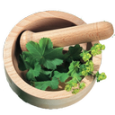 طب گیاهی