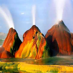 Wonders of nature