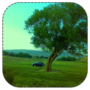 جازبه های دامغان و گرم سار