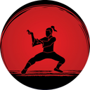 Kung fu exercise program