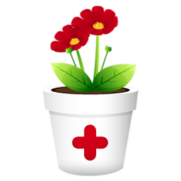 نسخه های تقویت حافظه