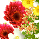 Blooming Bouquet Wallpaper