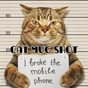 Cat Mug Shot Theme