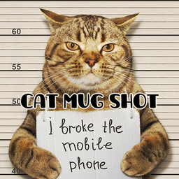 Cat Mug Shot Theme