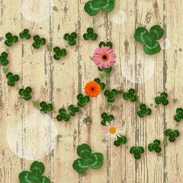 Wish Upon Clovers Theme +HOME