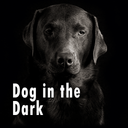 Dog in the Dark Theme +HOME