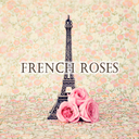 Paris Theme -French Roses-