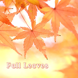 Fall Leaves Theme +HOME