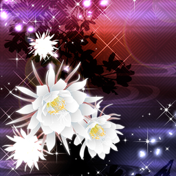 Beautiful Theme Moonlit Beauty