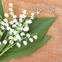 icon & wallpaper-May Day-