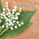 May Day Theme +HOME