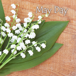May Day Theme +HOME