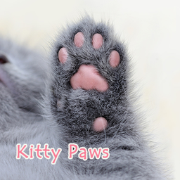 Kitty Paws +HOME