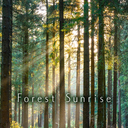 Forest Sunrise Theme +HOME