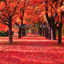 Autumn Trees Theme