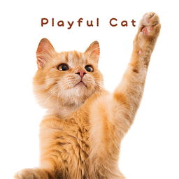 Cute wallpaper-Playful Cat-