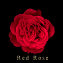 Red Rose Theme +HOME