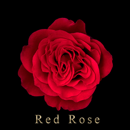 Red Rose Theme +HOME