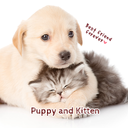 Puppy and Kitten Theme