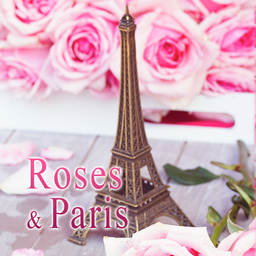 Roses & Paris Theme +HOME