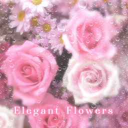 Elegant FlowersTheme +HOME