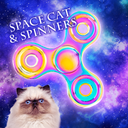 Space Cat & Spinners Theme