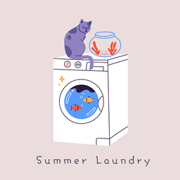 Summer Laundry Theme +HOME