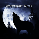 Moonlight Wolf Wallpaper