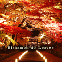 Bishamon-do Leaves