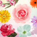Stamp Pack: Flowers