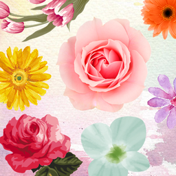 Stamp Pack: Flowers