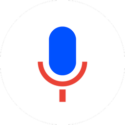 Voice Search